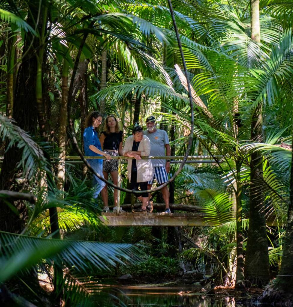 Forest-Therapy-Daintree