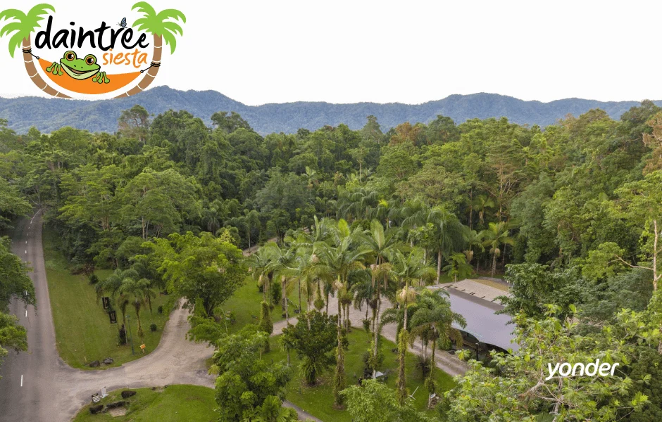 Daintree Siesta Featured on Yonder