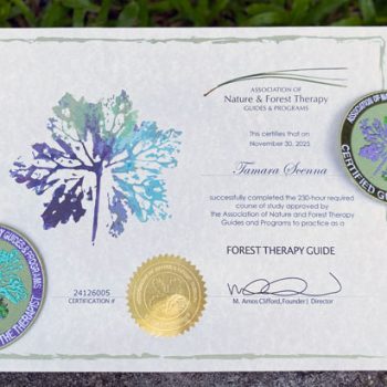 Accredited Forest Therapist