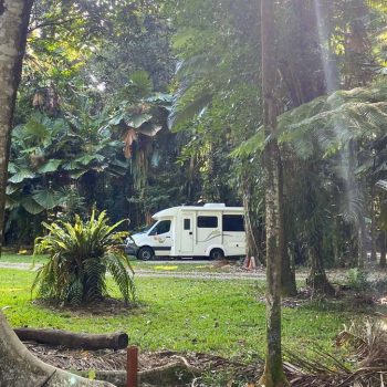 Best campground in the daintree