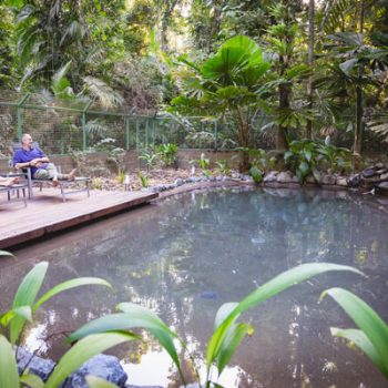 Croc Pool Daintree Siesta