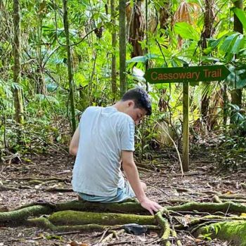 Daintree Forest Therapy