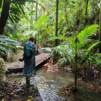 Daintree-Rainforest-Immersion