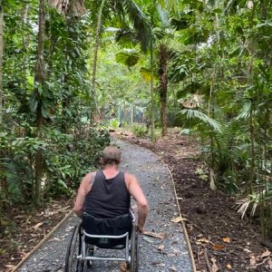 man in wheelchair pushing along a gravel path with rainforest surrounds
