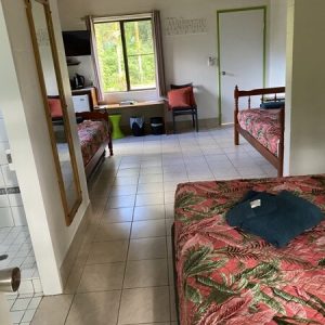 Daintree-Siesta-Accessible Motel room bedroom