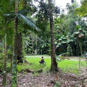large grassy area for camping with rainforest surrounds
