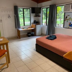 white tiled floor with bed and kitchenette with large windows looking out to the rainforest