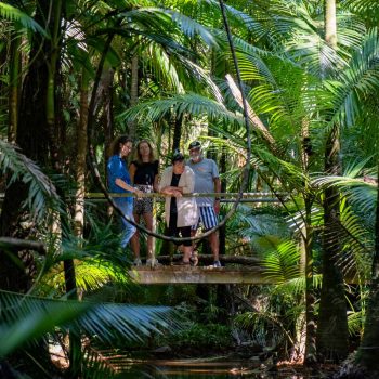 Forest-Therapy-Daintree