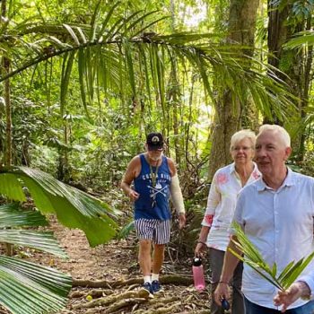 Forest Therapy Walk Daintree