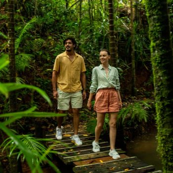 Rainforest-Connection-Daintree-Siesta