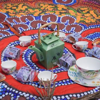 Rainforest-Connections-Walk-Tea-Ceremony